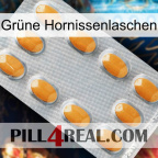 Grüne Hornissenlaschen cialis3